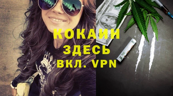 сатива Магадан