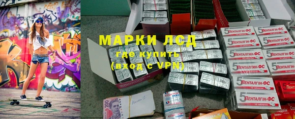 сатива Магадан