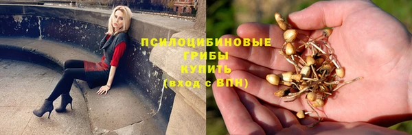 сатива Майский
