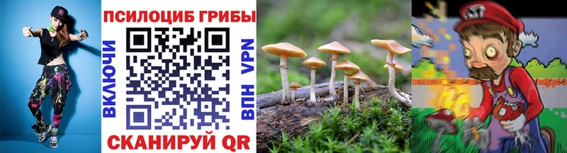 Купить закладки  Лаишево  Галлюциногенные грибы мицелий 